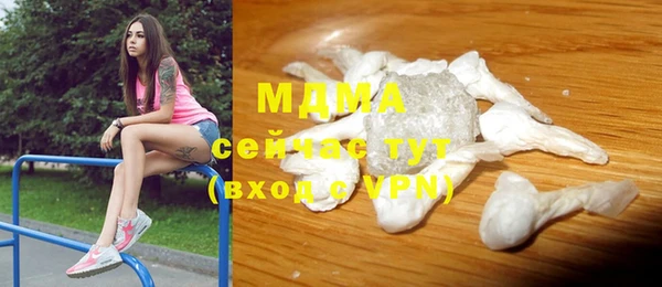 хмурый Пересвет